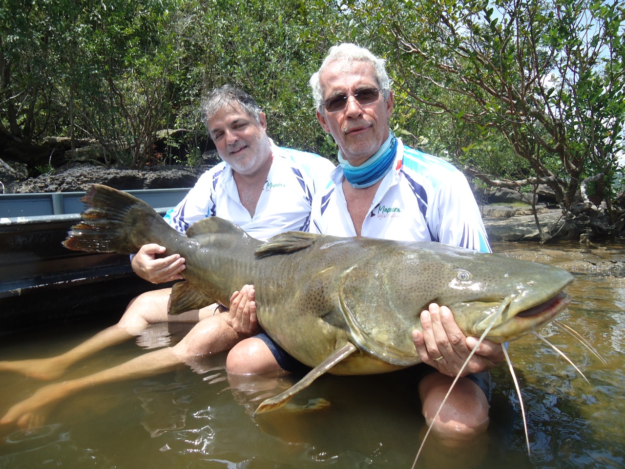 mapuera peixe